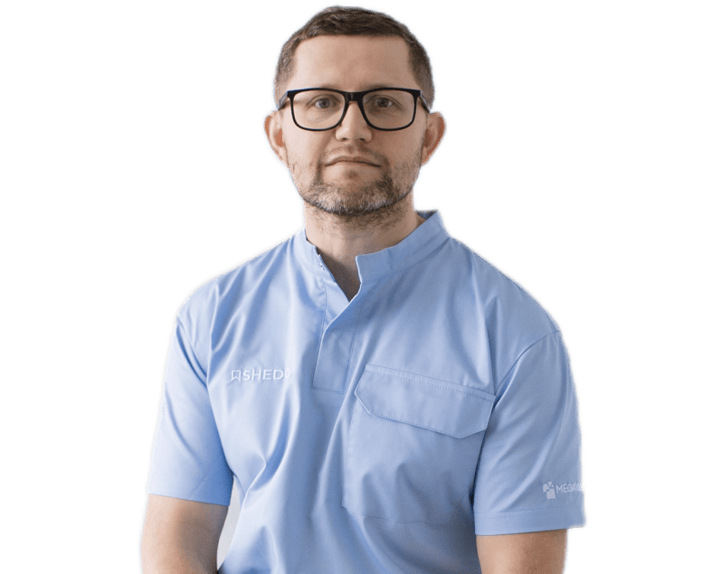 Владимир Шелег